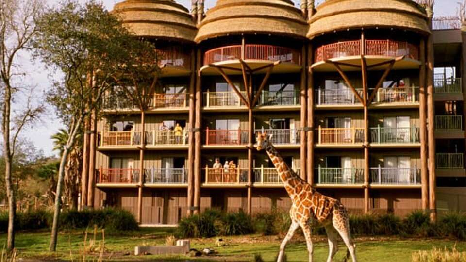 Animal Kingdom - Jambo House