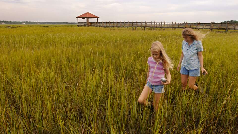 Hilton Head